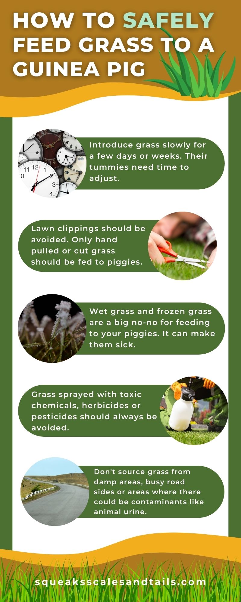 Sub Adult Animal Feeding Guide preview