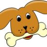 Types of Dog Dishes