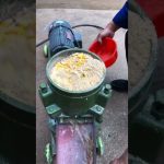What to Feed an Underweight Chicken A chicken in a backyard flock