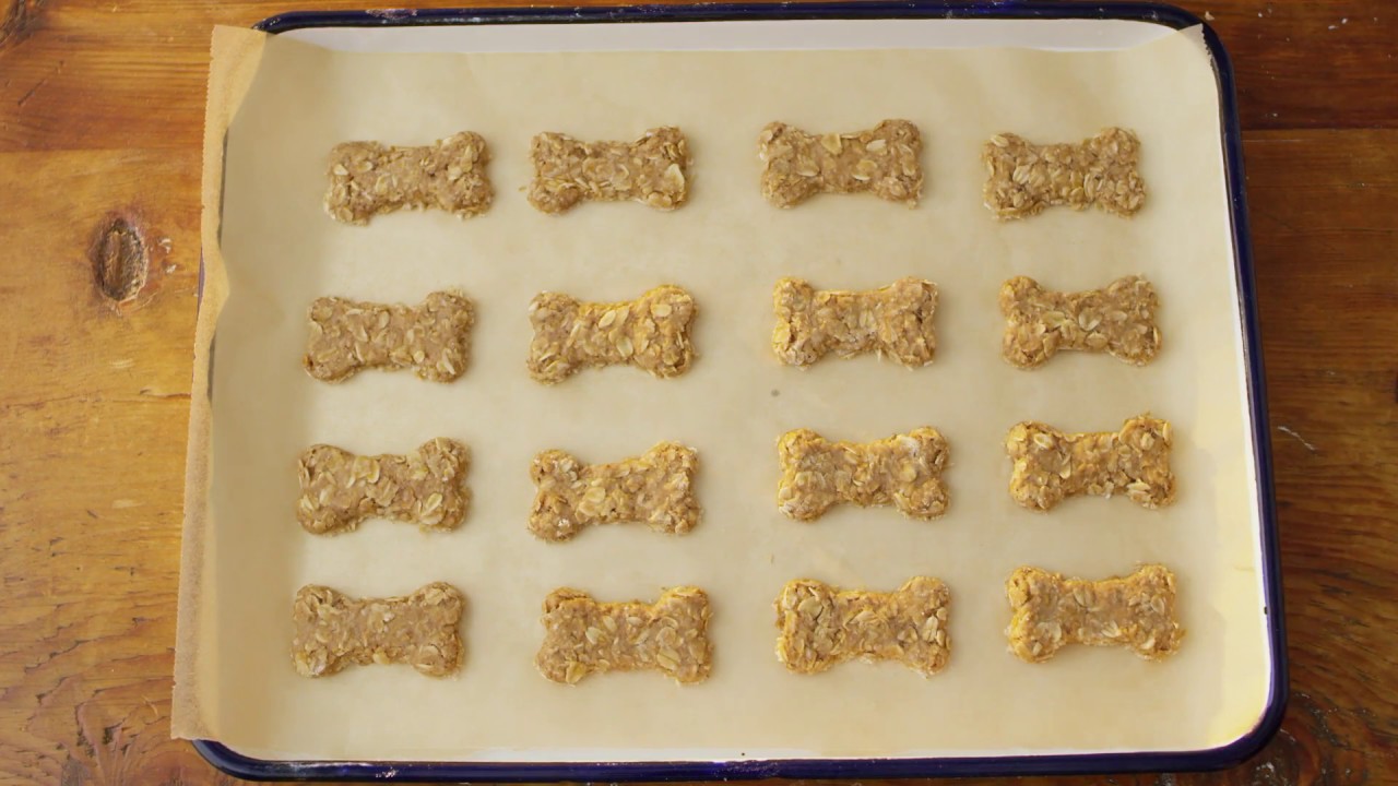 Plain homemade dog food made with oats