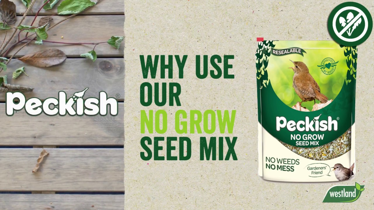 Wild bird seed mix