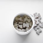 Close-up of dog treats in a container