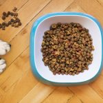 Dog eating from a bowl of dog food