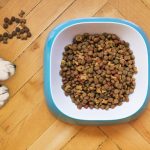 Overhead view of dog food in a white and blue bowl