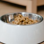 Stainless steel dog bowl filled with dry dog food