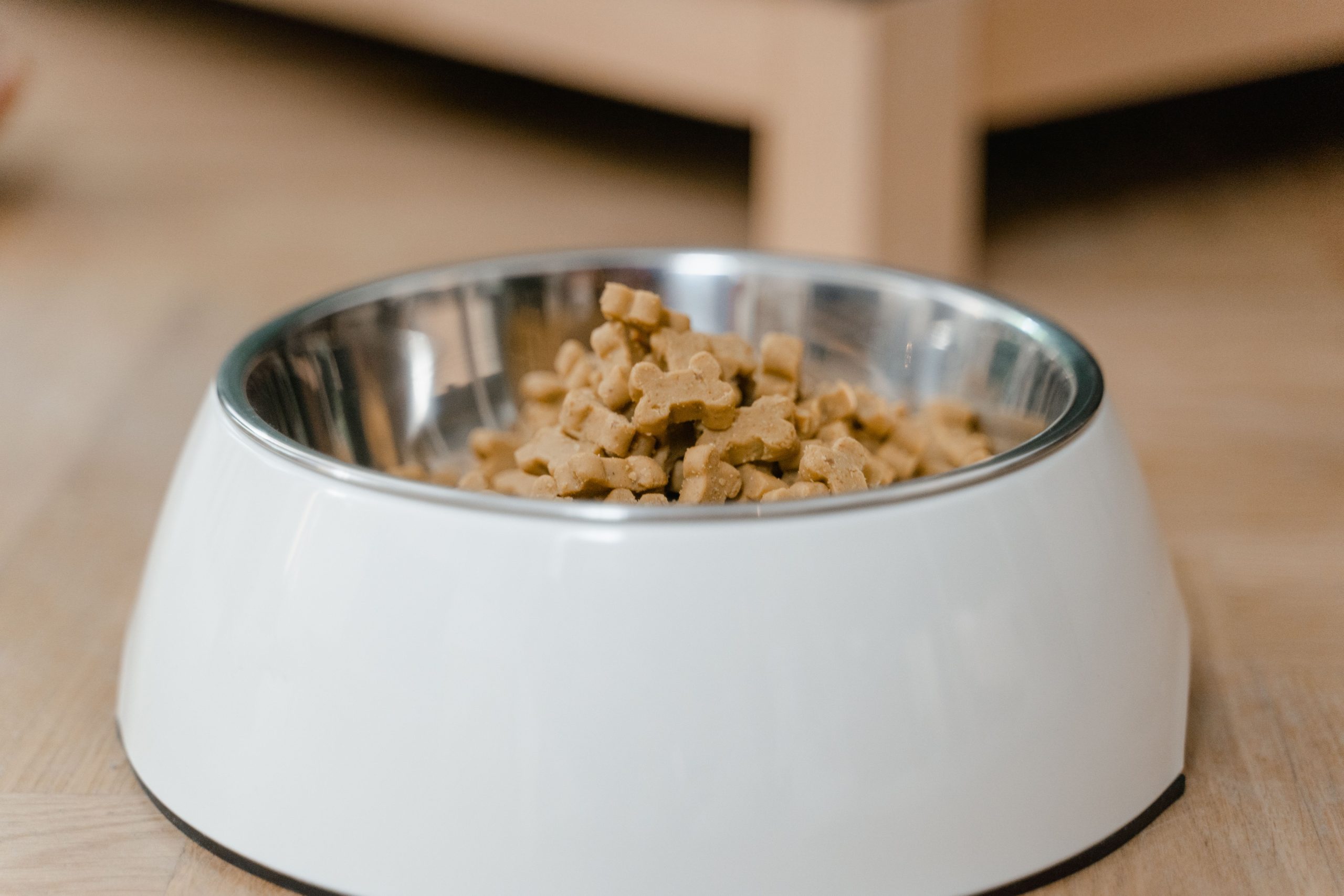 Stainless steel bowl of dry dog food on a wooden floor