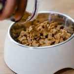 Lamb Ears For Dogs Hand putting dog treats into a bowl
