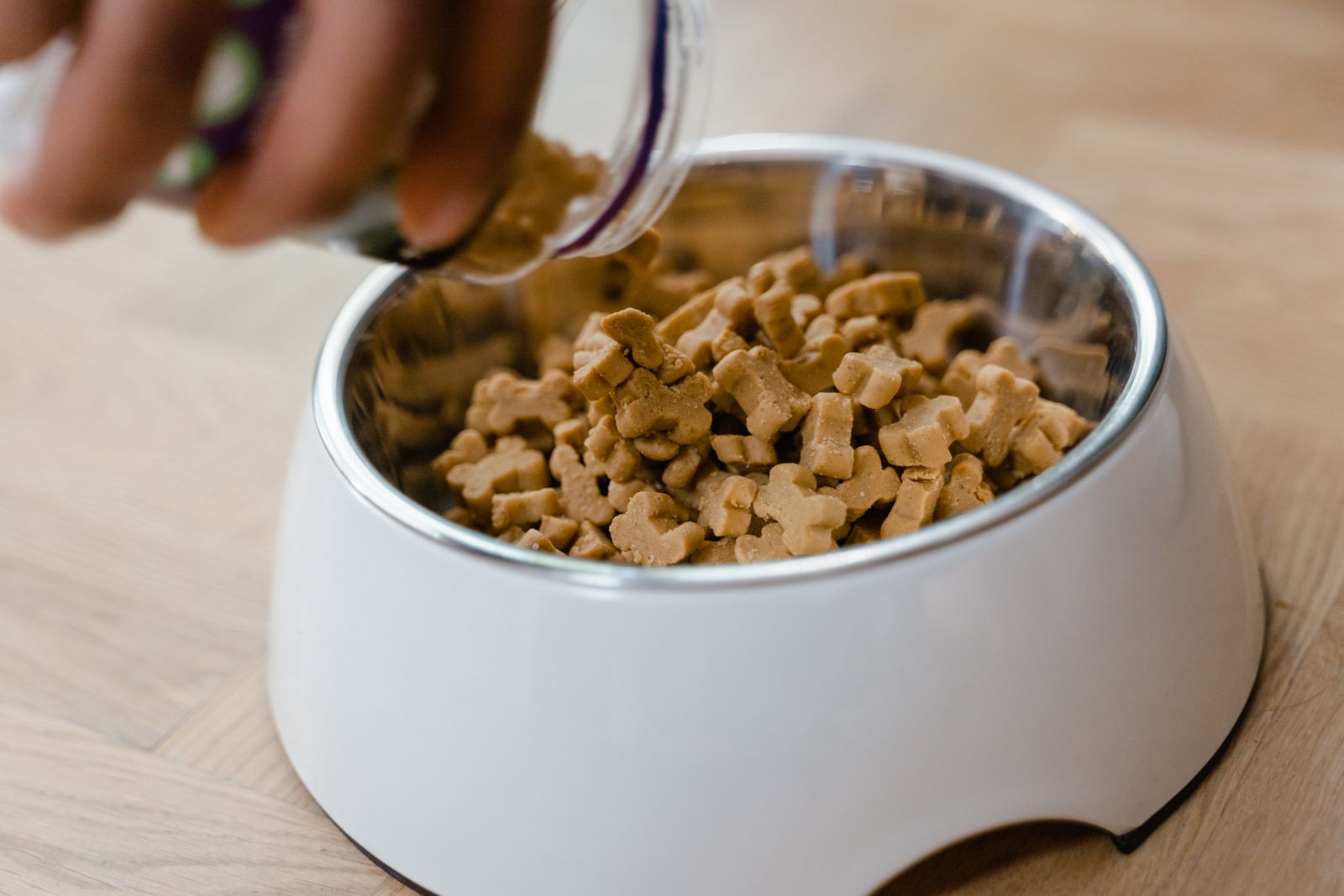 Hand putting dog treats into a bowl