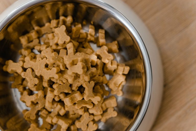 Dog food kibble in a stainless steel bowl