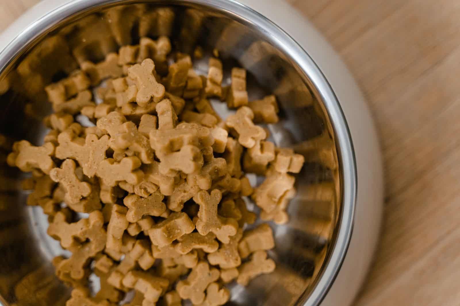 Dog food in a stainless steel bowl