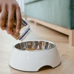 Person pouring dog food into a bowl