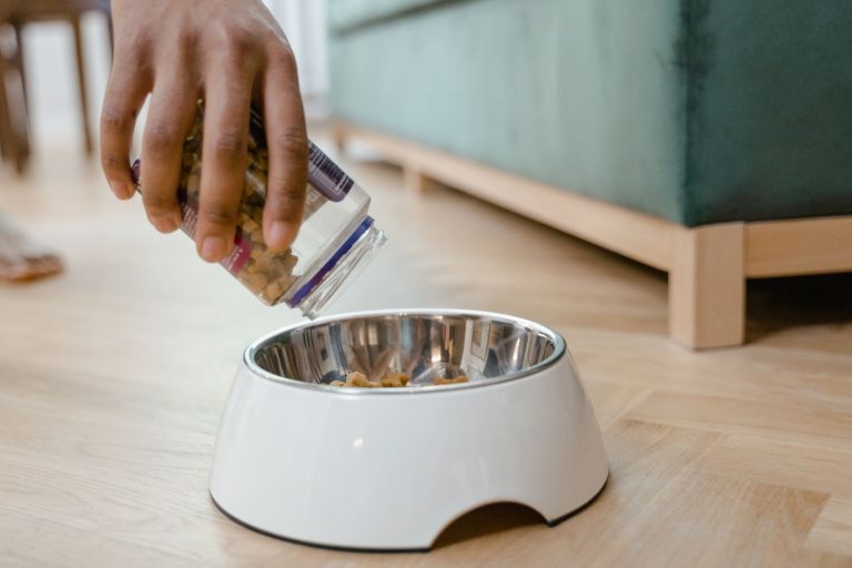 Person pouring dog food into a bowl