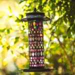 Hanging bird feeder filled with seed for wild birds