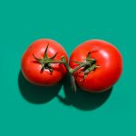Ripe red tomatoes against a green background