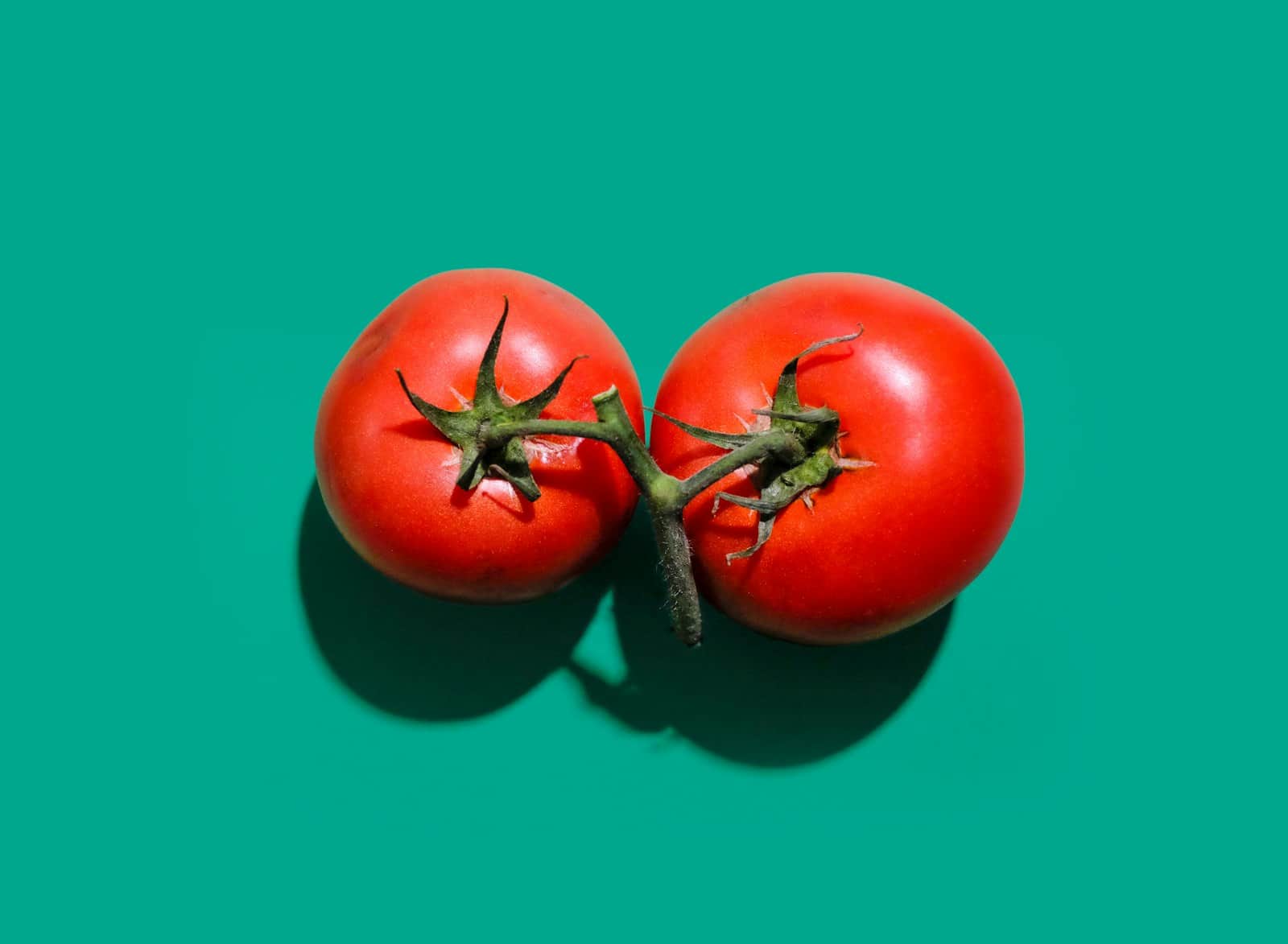 Ripe red tomatoes against a green background