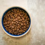 Bowl of dry dog food on a tile floor