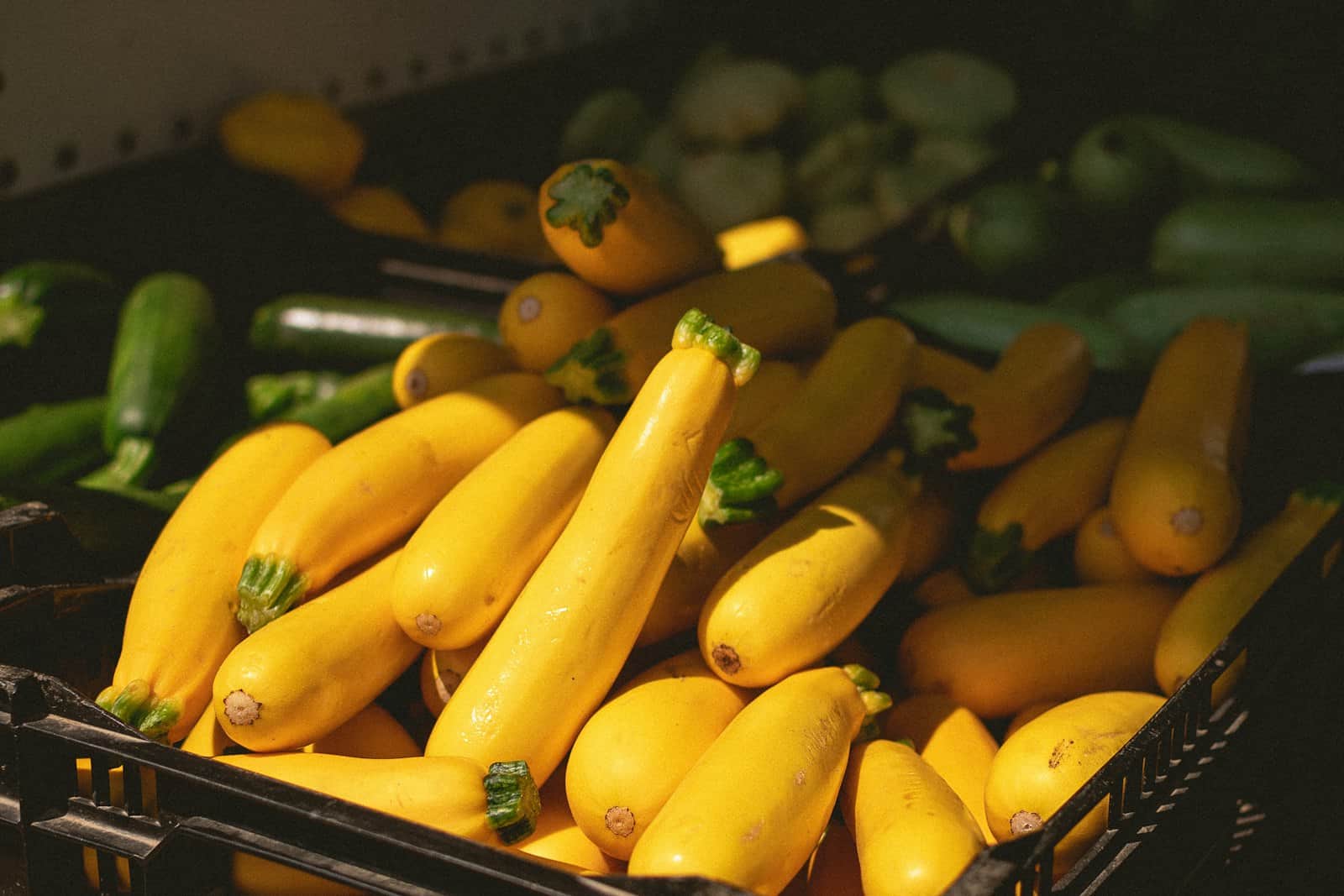 Crate of fresh zucchini and green peppers at a market